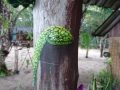 Gilla-gallery (4)