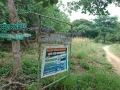 Tommys garden-gallery