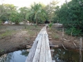 neue Brücke-gallery
