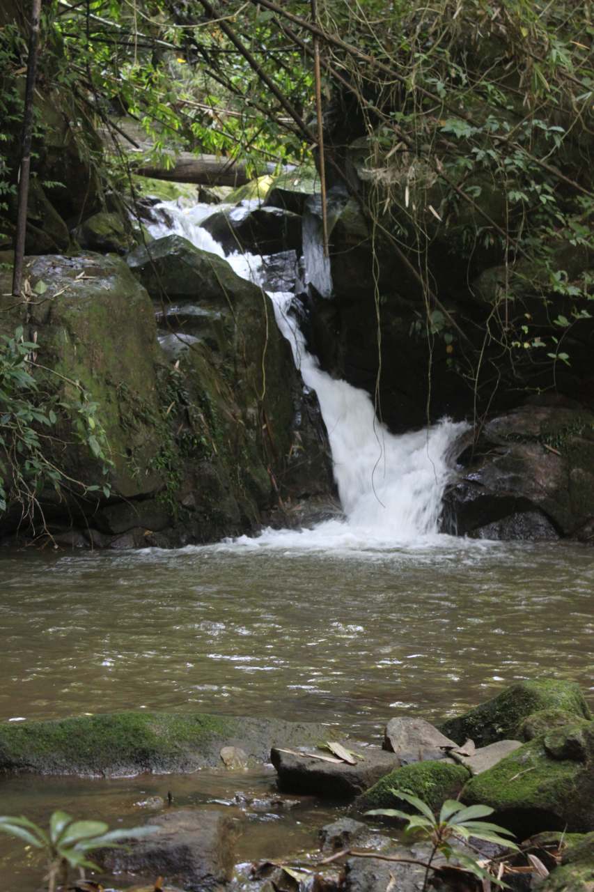 Huay Gaew Waterfall (1)-s