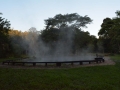 Lam Kok National Park (1)-s