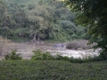 Lam Kok National Park (2)-s