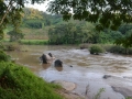 Lam Kok National Park (3)-s