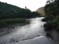 Lam Kok National Park (5)-s