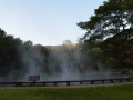 Lam Kok National Park (6)-s