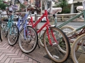 DSC_1191-s