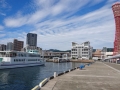DSC_2065-s