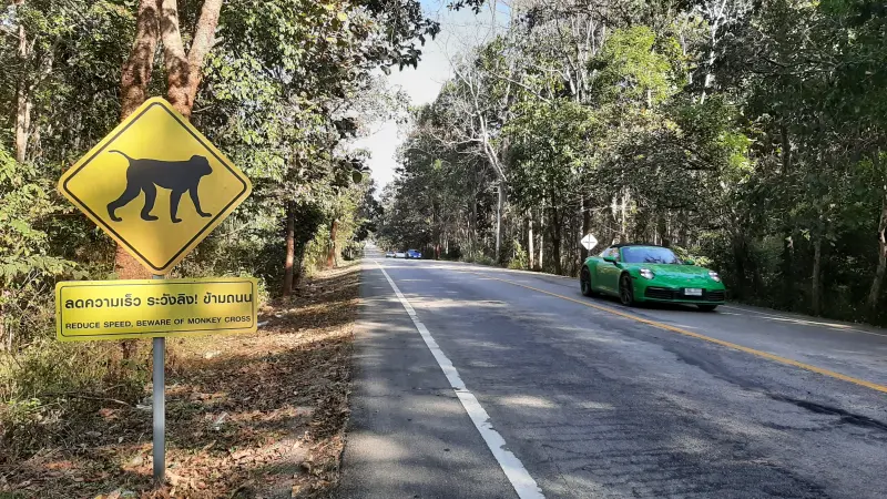 Achtung Affen überqueren die Straße - ein Warnschild in Thailand