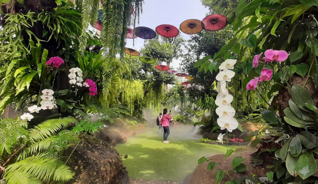 Ein verzauberter Dschungel mit Feen in Chiang Rai