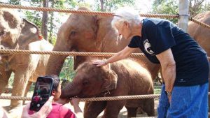 Elephant Camp Chiang Mai