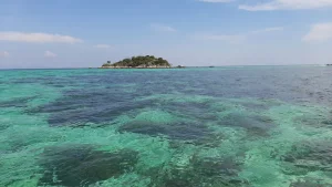 Sicht auf eine kleine Insel vor Koh Lipe mit Korallen im Wasser
