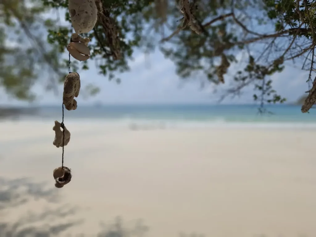Stimmung am Ao Wai Beach auf Koh Samet - Muscheln im Wind