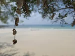 Stimmung am Ao Wai Beach auf Koh Samet - Muscheln im Wind