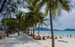 schöner Strand mit Palmen auf Phuket