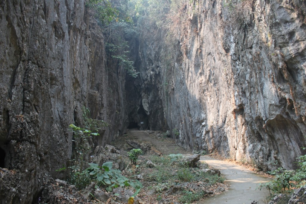 Monkey at 'Wat Tam Pla' / Fish Monkey cave - Mae Sai