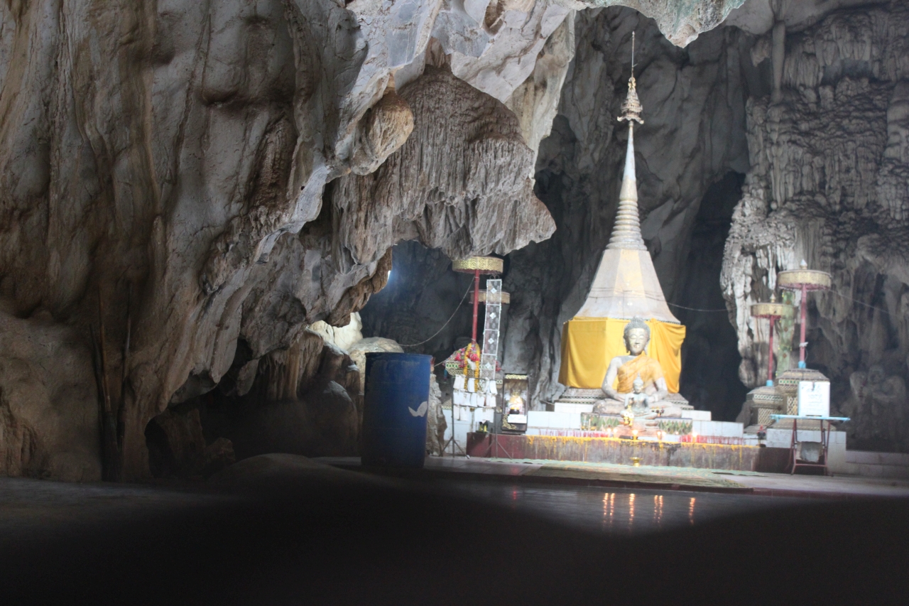 Monkey at 'Wat Tam Pla' / Fish Monkey cave - Mae Sai