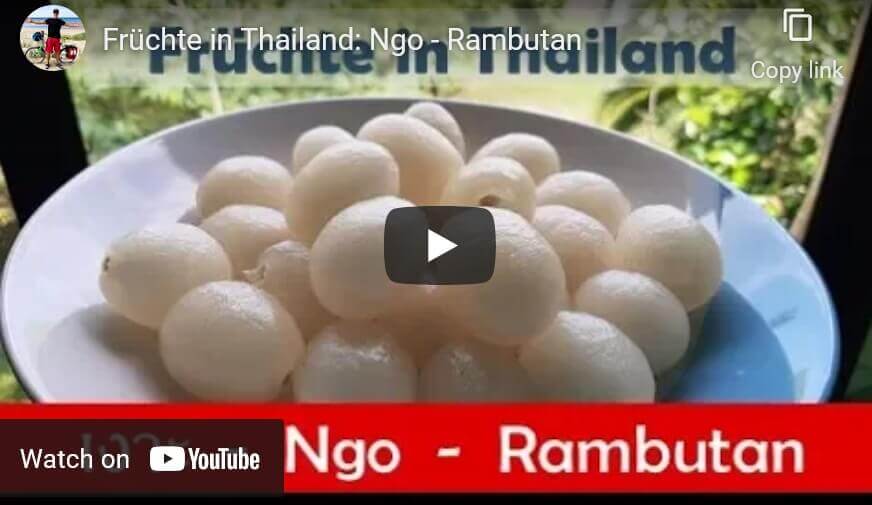 Rambutan aus Thailand